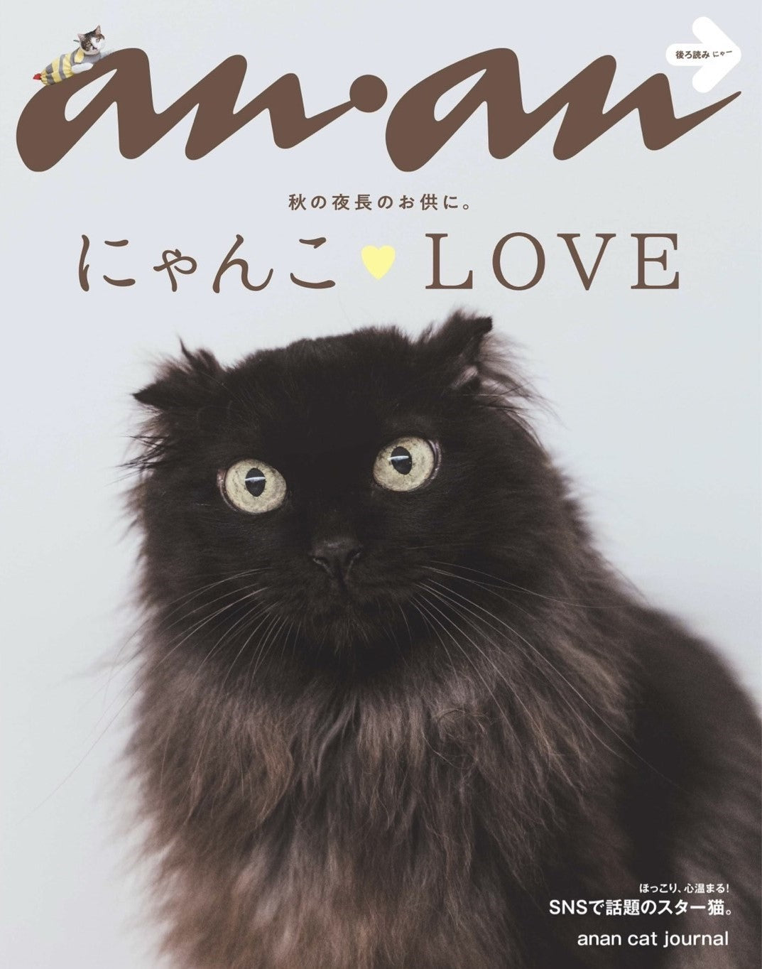 anan 10月30日発売号でラシャトンが掲載されました！ – LA CHATON