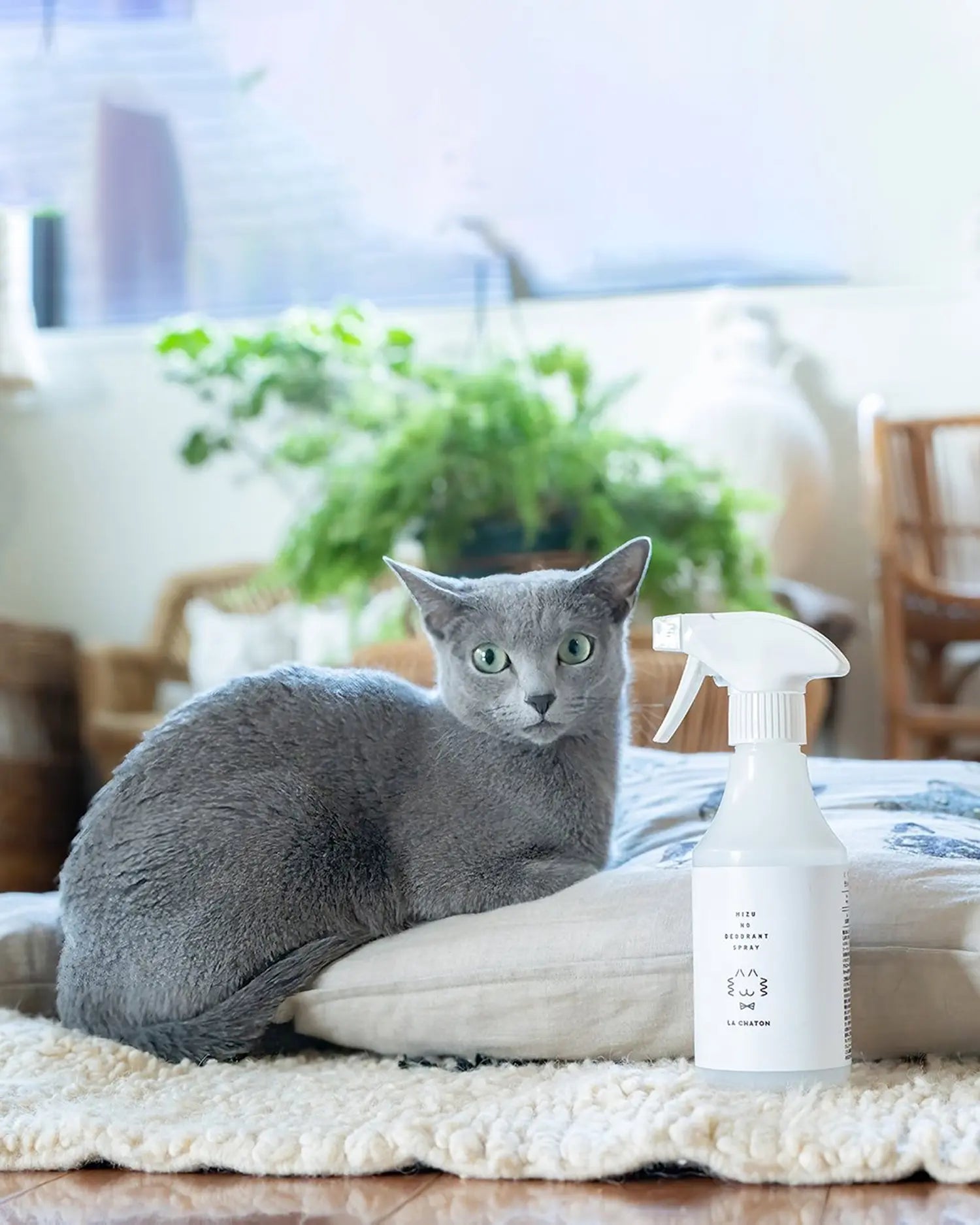 水の除菌消臭スプレー詰め替えボトル900ml 3本セット – LA CHATON 水の除菌消臭スプレー詰め替えボトル900ml 3本セット – LA CHATON